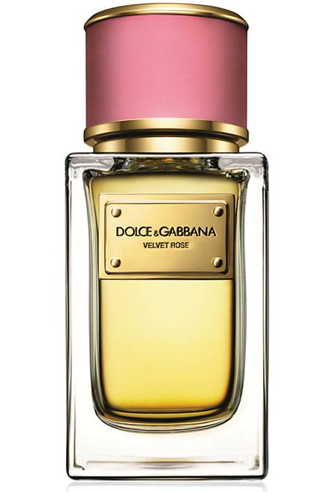 best dolce gabbana cologne|dolce gabbana parfum damen neu.